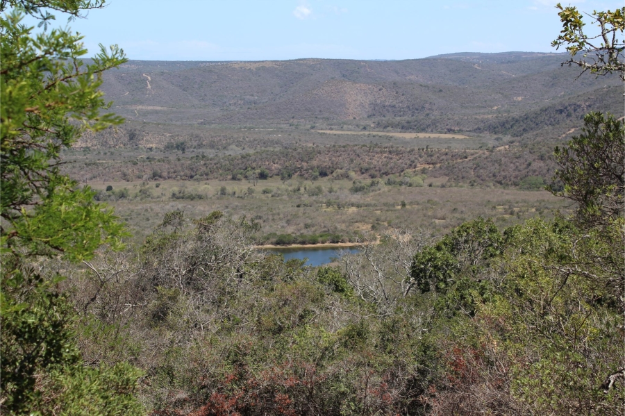 5 Bedroom Property for Sale in Mooiplaas Eastern Cape